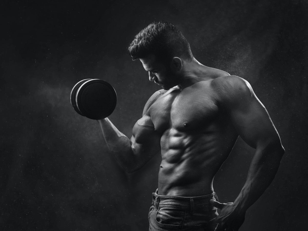 Muscle - Consumer Safety Labs