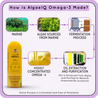 YogaManLab® AlgaeIQ Omega-3 with 800mg DHA | Plant Based, Vegan & Natural | For Improving Heart, Brain, Hair, Skin, Joint & Eye Health | Higest Absorption Formula | 30 Days Pack