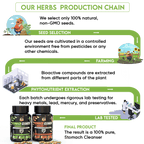 YogaManLab® STOMACH CLEANSER - Probiotic Detox & Flatter Belly Ayurvedic Supplement | 14-Days Program To Remove Constipation & Toxins | 100% Natural with Probiotics