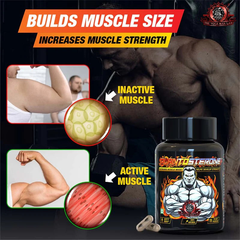 YogaManLab® PLANTOSTERONE - Ayurvedic Muscle Builder & Testosterone Booster | Helps Increase Muscle Size & Body Weight| 100% Natural